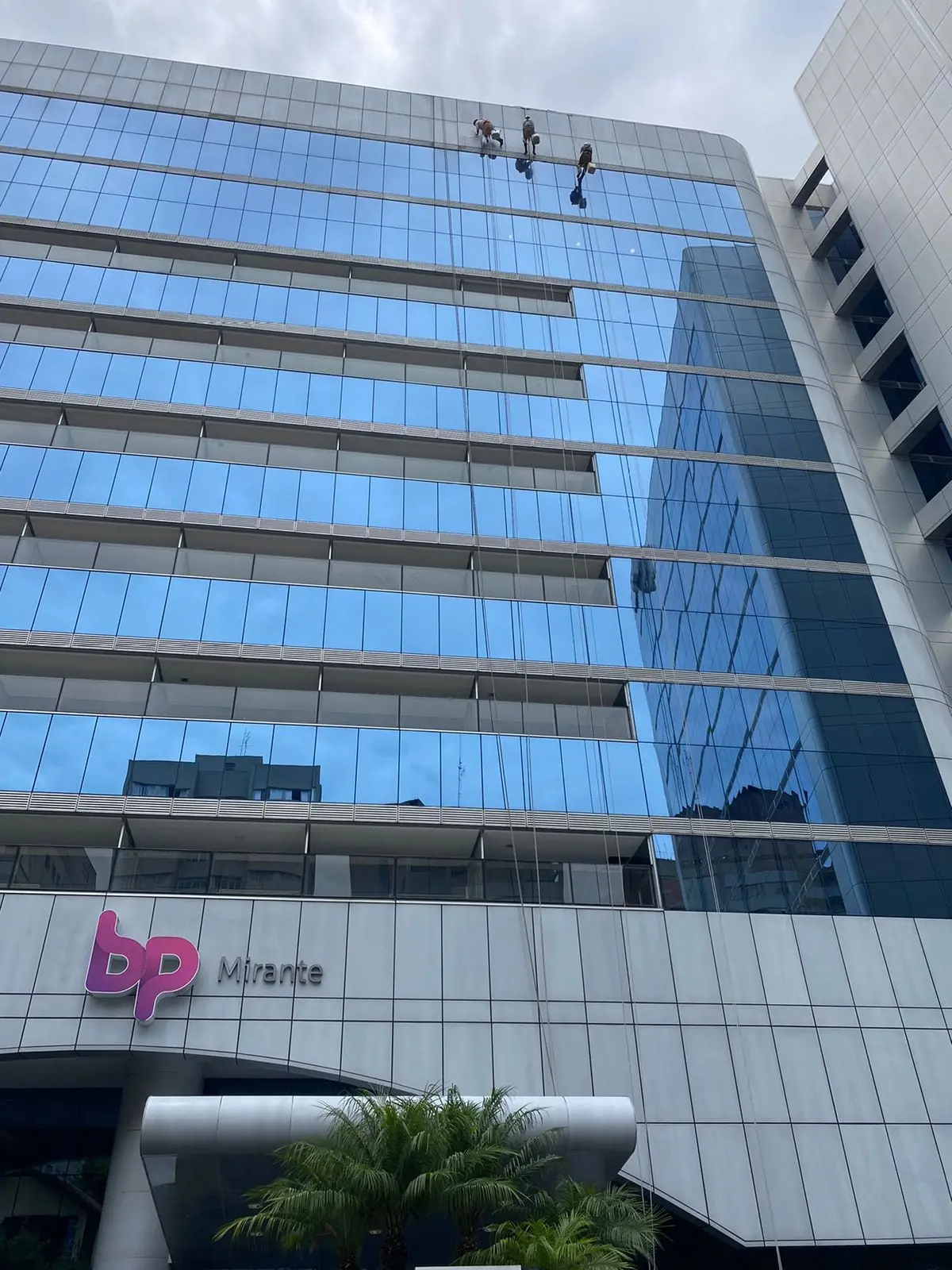 Profissionais em corda limpando fachada de vidro azul de um edifício comercial