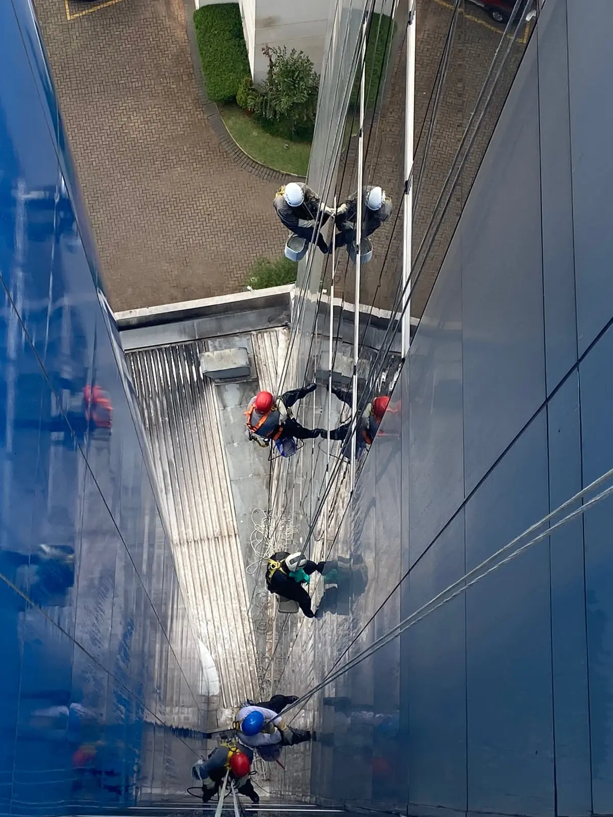 Vista de cima de profissionais limpando vidros de fachada